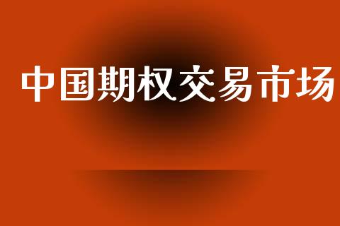 中国期权交易市场_https://m.fansifence.com_公募基金_第1张
