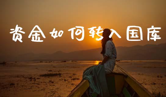 资金如何转入国库_https://m.fansifence.com_个股行情_第1张