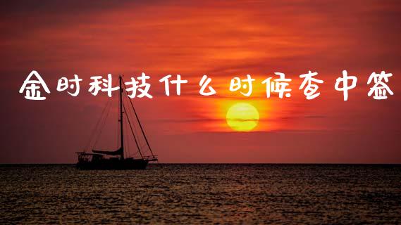 金时科技什么时候查中签_https://m.fansifence.com_消费金融_第1张