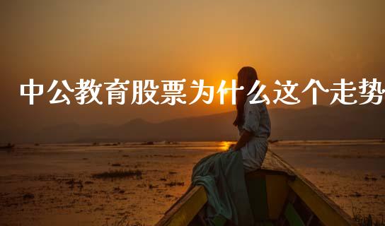 中公教育股票为什么这个走势_https://m.fansifence.com_贵金属行情_第1张