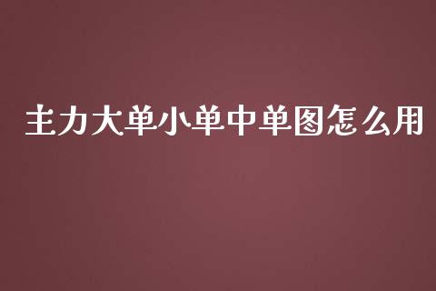 主力大单小单中单图怎么用_https://m.fansifence.com_贵金属行情_第1张