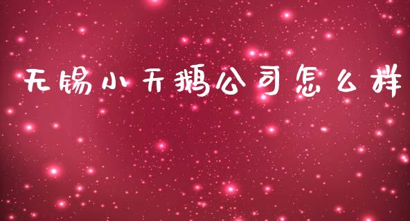 无锡小天鹅公司怎么样_https://m.fansifence.com_公募基金_第1张