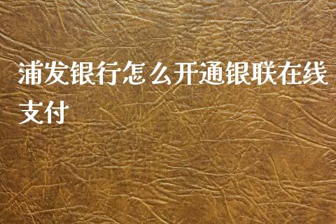浦发银行怎么开通银联在线支付_https://m.fansifence.com_公募基金_第1张