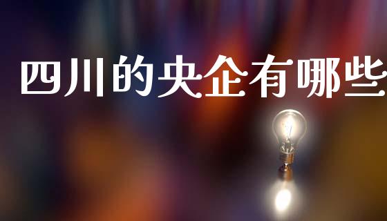 四川的央企有哪些_https://m.fansifence.com_公募基金_第1张