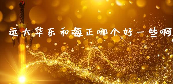 远大华东和海正哪个好一些啊_https://m.fansifence.com_公募基金_第1张