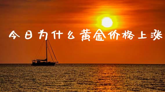 今日为什么黄金价格上涨_https://m.fansifence.com_消费金融_第1张