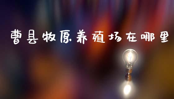 曹县牧原养殖场在哪里_https://m.fansifence.com_贵金属行情_第1张