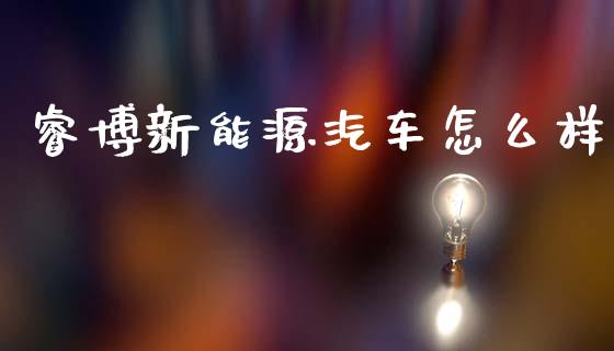 睿博新能源汽车怎么样_https://m.fansifence.com_公募基金_第1张