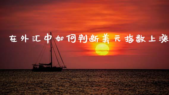 在外汇中如何判断美元指数上涨_https://m.fansifence.com_个股行情_第1张