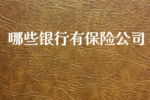 哪些银行有保险公司_https://m.fansifence.com_消费金融_第1张