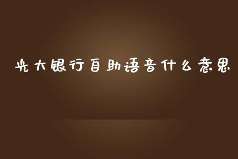 光大银行自助语音什么意思_https://m.fansifence.com_个股行情_第1张