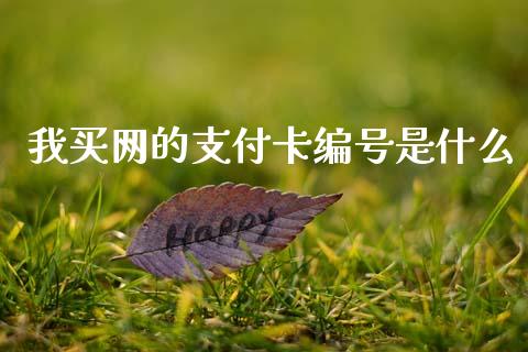 我买网的支付卡编号是什么_https://m.fansifence.com_消费金融_第1张