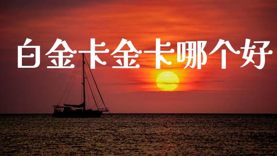 白金卡金卡哪个好_https://m.fansifence.com_消费金融_第1张
