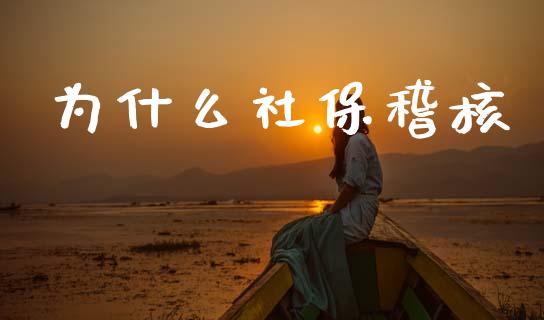为什么社保稽核_https://m.fansifence.com_个股行情_第1张