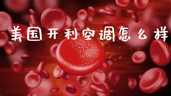 美国开利空调怎么样_https://m.fansifence.com_消费金融_第1张