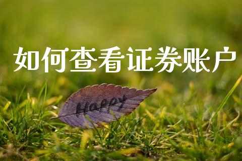 如何查看证券账户_https://m.fansifence.com_消费金融_第1张