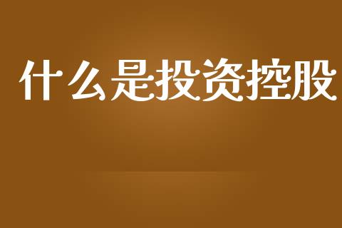什么是投资控股_https://m.fansifence.com_公募基金_第1张