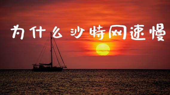 为什么沙特网速慢_https://m.fansifence.com_个股行情_第1张