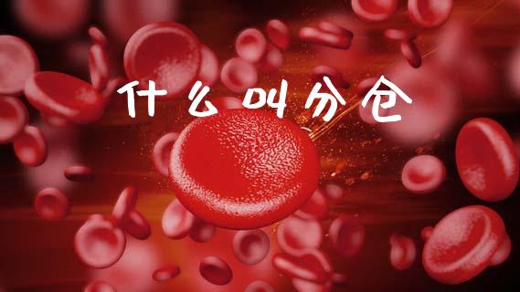 什么叫分仓_https://m.fansifence.com_消费金融_第1张