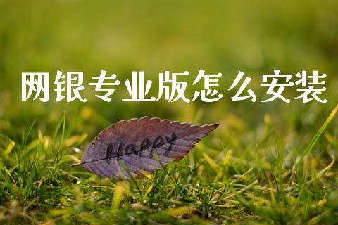 网银专业版怎么安装_https://m.fansifence.com_个股行情_第1张