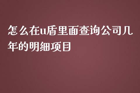 怎么在u盾里面查询公司几年的明细项目_https://m.fansifence.com_个股行情_第1张