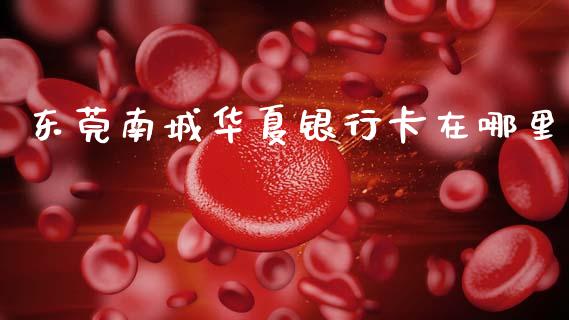 东莞南城华夏银行卡在哪里_https://m.fansifence.com_消费金融_第1张