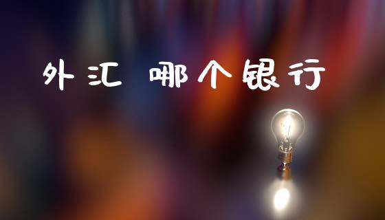外汇 哪个银行_https://m.fansifence.com_公募基金_第1张