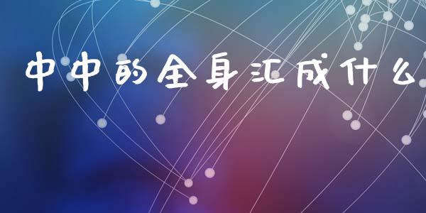 中中的全身汇成什么_https://m.fansifence.com_公募基金_第1张
