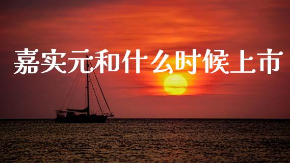嘉实元和什么时候上市_https://m.fansifence.com_贵金属行情_第1张