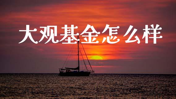大观基金怎么样_https://m.fansifence.com_个股行情_第1张