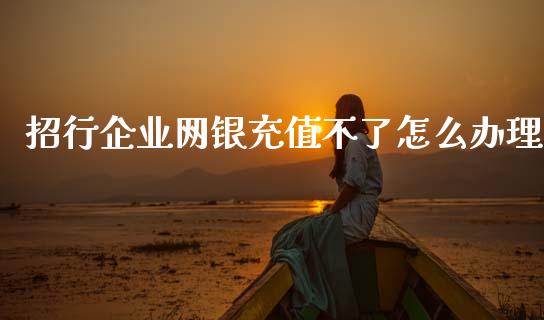 招行企业网银充值不了怎么办理_https://m.fansifence.com_个股行情_第1张