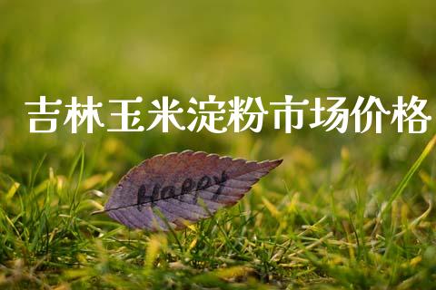 吉林玉米淀粉市场价格_https://m.fansifence.com_公募基金_第1张