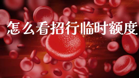 怎么看招行临时额度_https://m.fansifence.com_公募基金_第1张