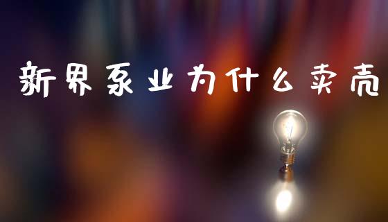 新界泵业为什么卖壳_https://m.fansifence.com_个股行情_第1张