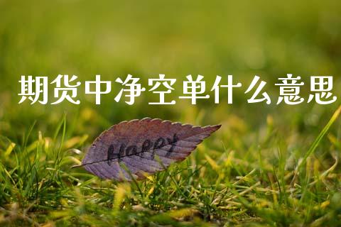 期货中净空单什么意思_https://m.fansifence.com_贵金属行情_第1张