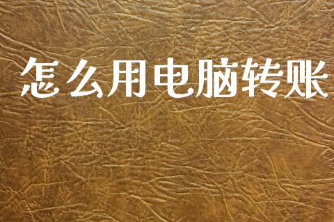 怎么用电脑转账_https://m.fansifence.com_贵金属行情_第1张