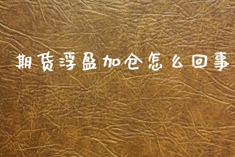期货浮盈加仓怎么回事_https://m.fansifence.com_公募基金_第1张
