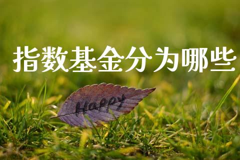 指数基金分为哪些_https://m.fansifence.com_贵金属行情_第1张