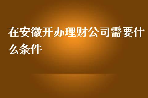 在安徽开办理财公司需要什么条件_https://m.fansifence.com_消费金融_第1张