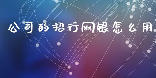公司的招行网银怎么用_https://m.fansifence.com_个股行情_第1张