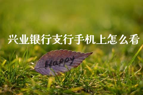 兴业银行支行手机上怎么看_https://m.fansifence.com_贵金属行情_第1张