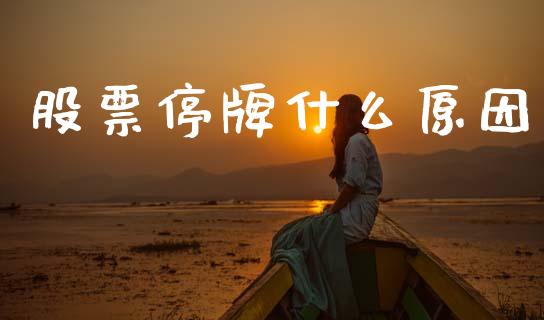 股票停牌什么原因_https://m.fansifence.com_贵金属行情_第1张