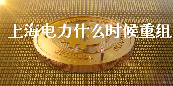 上海电力什么时候重组_https://m.fansifence.com_消费金融_第1张