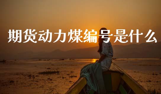 期货动力煤编号是什么_https://m.fansifence.com_个股行情_第1张