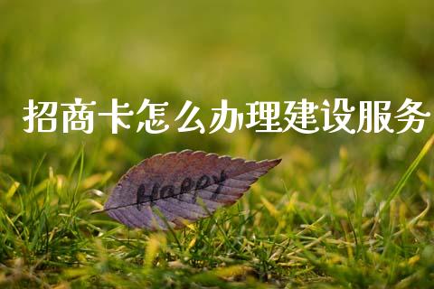 招商卡怎么办理建设服务_https://m.fansifence.com_消费金融_第1张