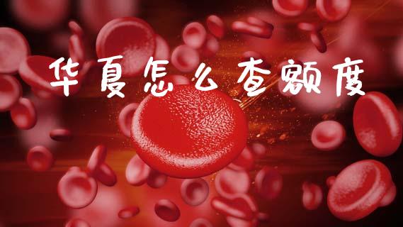 华夏怎么查额度_https://m.fansifence.com_个股行情_第1张
