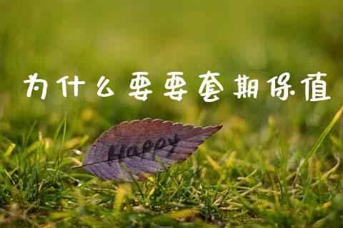 为什么要要套期保值_https://m.fansifence.com_公募基金_第1张