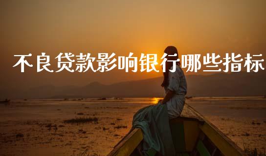 不良贷款影响银行哪些指标_https://m.fansifence.com_贵金属行情_第1张