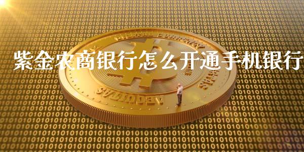 紫金农商银行怎么开通手机银行_https://m.fansifence.com_公募基金_第1张