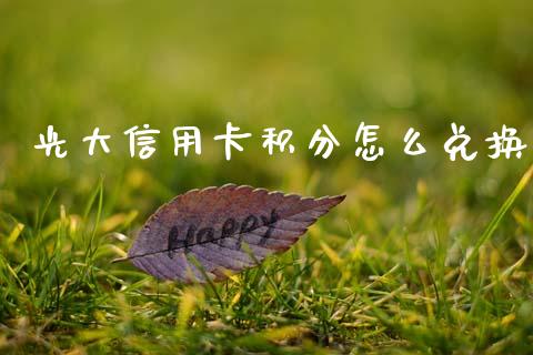 光大信用卡积分怎么兑换_https://m.fansifence.com_贵金属行情_第1张